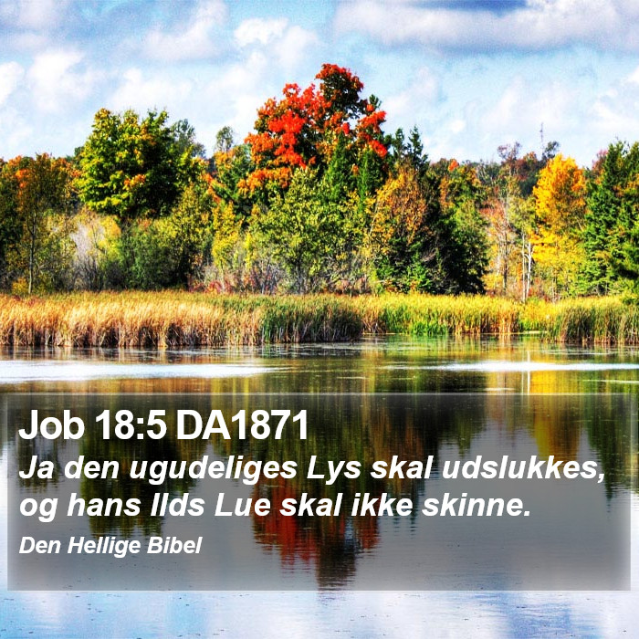 Job 18:5 DA1871 Bible Study