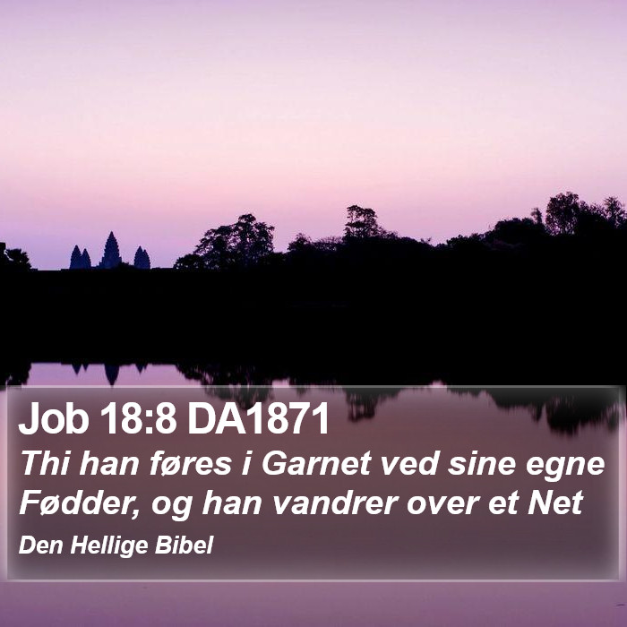 Job 18:8 DA1871 Bible Study