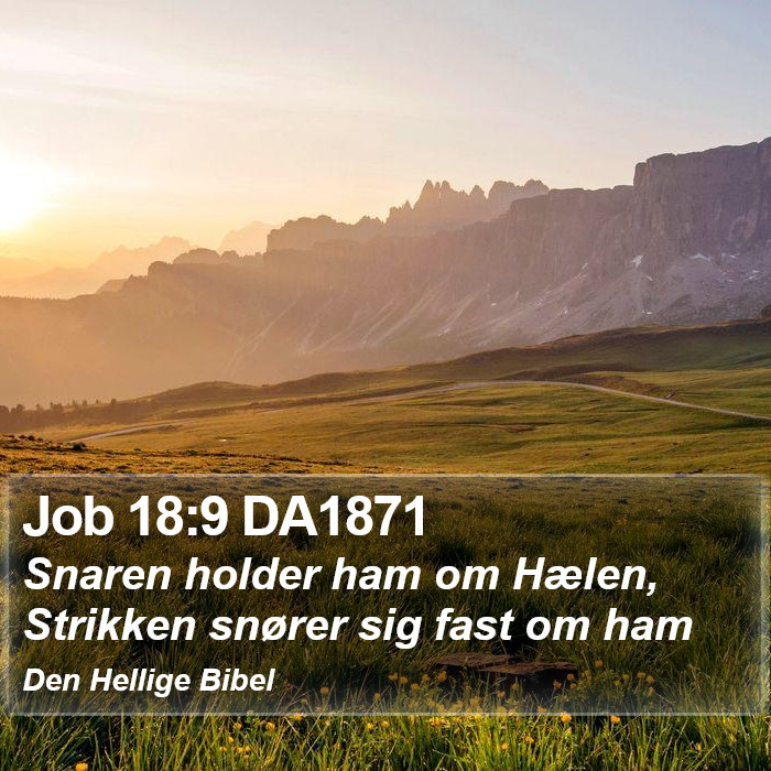 Job 18:9 DA1871 Bible Study