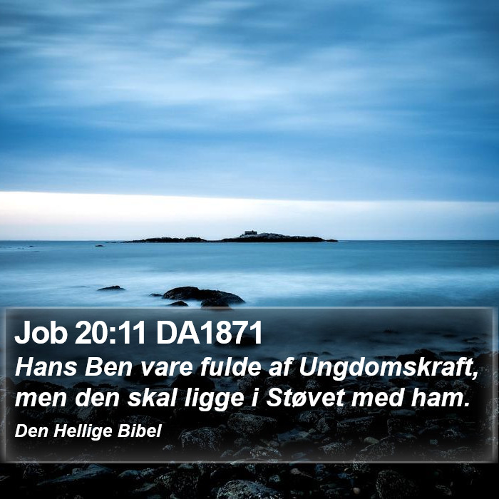 Job 20:11 DA1871 Bible Study