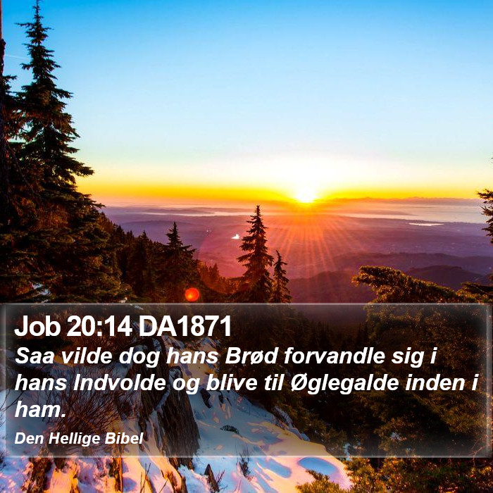 Job 20:14 DA1871 Bible Study
