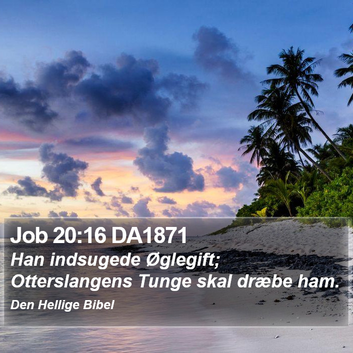 Job 20:16 DA1871 Bible Study