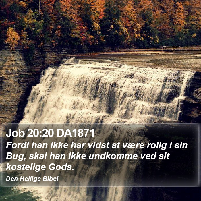 Job 20:20 DA1871 Bible Study