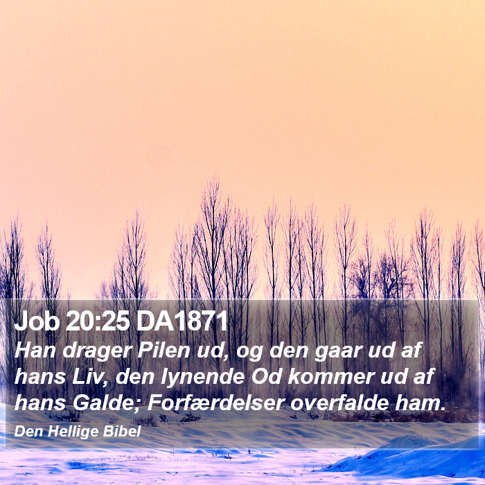 Job 20:25 DA1871 Bible Study