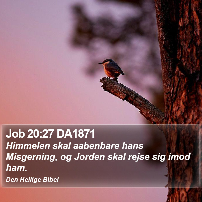 Job 20:27 DA1871 Bible Study