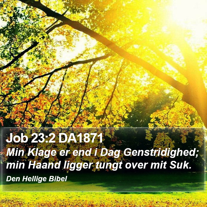 Job 23:2 DA1871 Bible Study