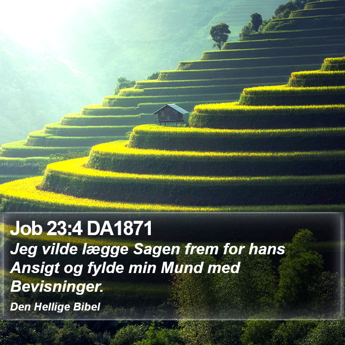 Job 23:4 DA1871 Bible Study