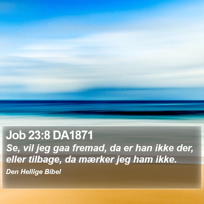 Job 23:8 DA1871 Bible Study