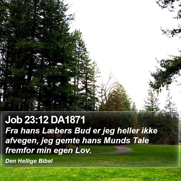 Job 23:12 DA1871 Bible Study