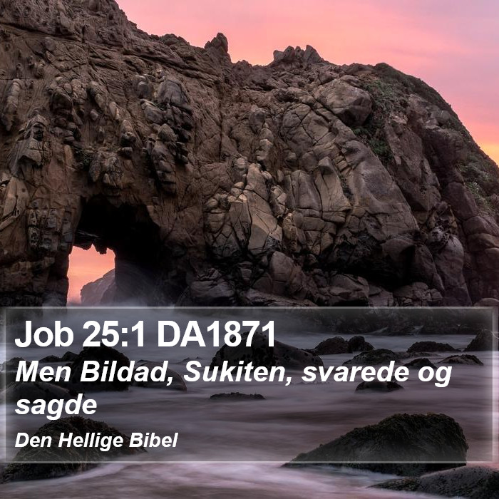 Job 25:1 DA1871 Bible Study