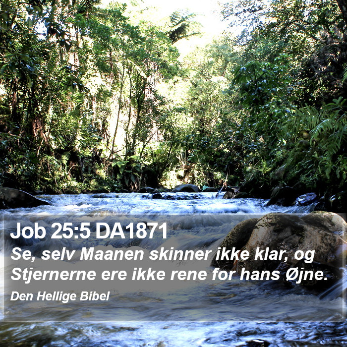 Job 25:5 DA1871 Bible Study