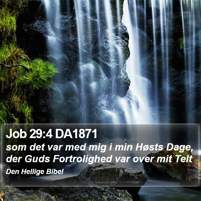 Job 29:4 DA1871 Bible Study