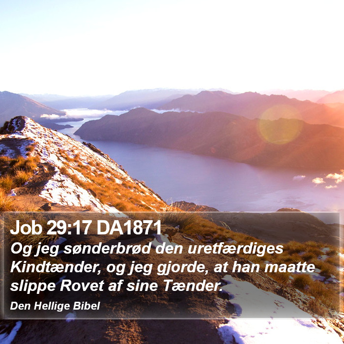 Job 29:17 DA1871 Bible Study