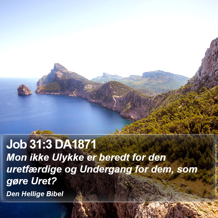Job 31:3 DA1871 Bible Study