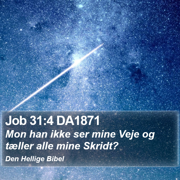 Job 31:4 DA1871 Bible Study