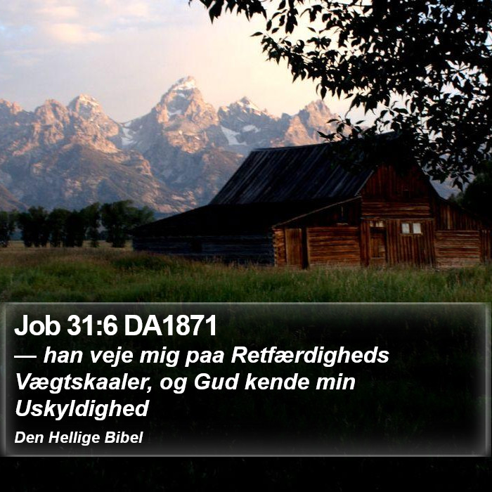 Job 31:6 DA1871 Bible Study