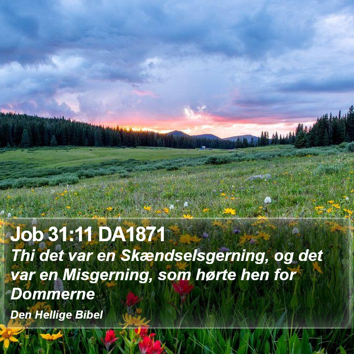 Job 31:11 DA1871 Bible Study