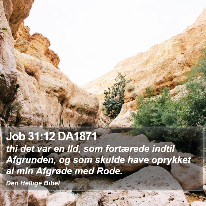 Job 31:12 DA1871 Bible Study