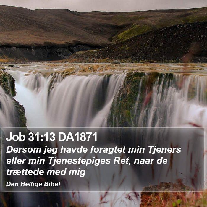 Job 31:13 DA1871 Bible Study