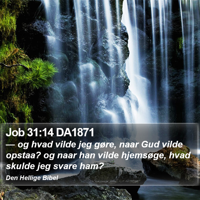 Job 31:14 DA1871 Bible Study