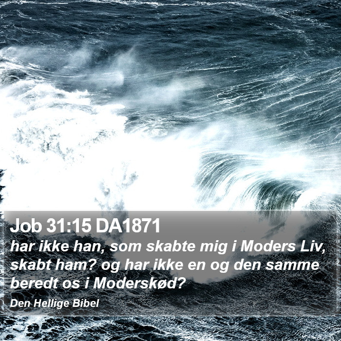 Job 31:15 DA1871 Bible Study