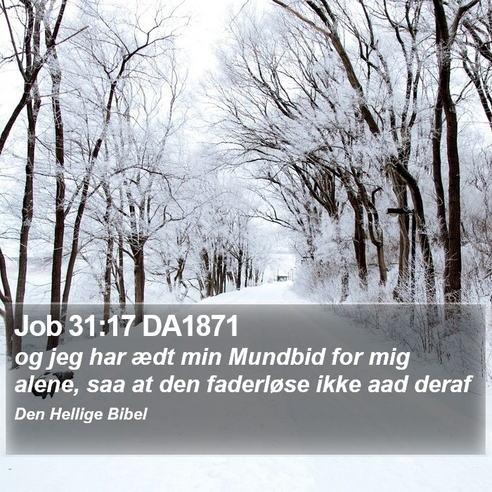 Job 31:17 DA1871 Bible Study