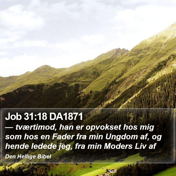 Job 31:18 DA1871 Bible Study
