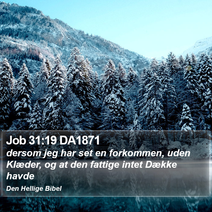 Job 31:19 DA1871 Bible Study