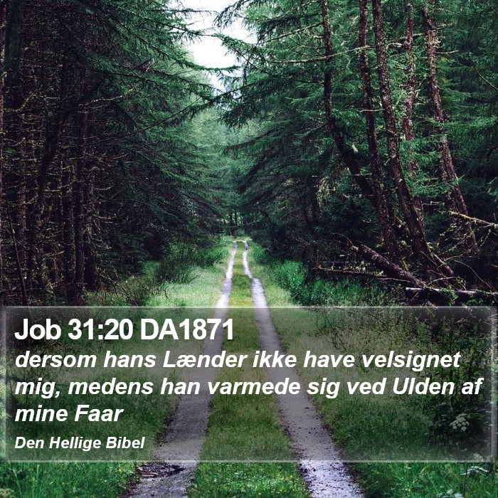 Job 31:20 DA1871 Bible Study