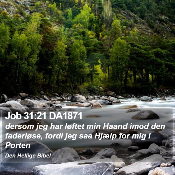 Job 31:21 DA1871 Bible Study