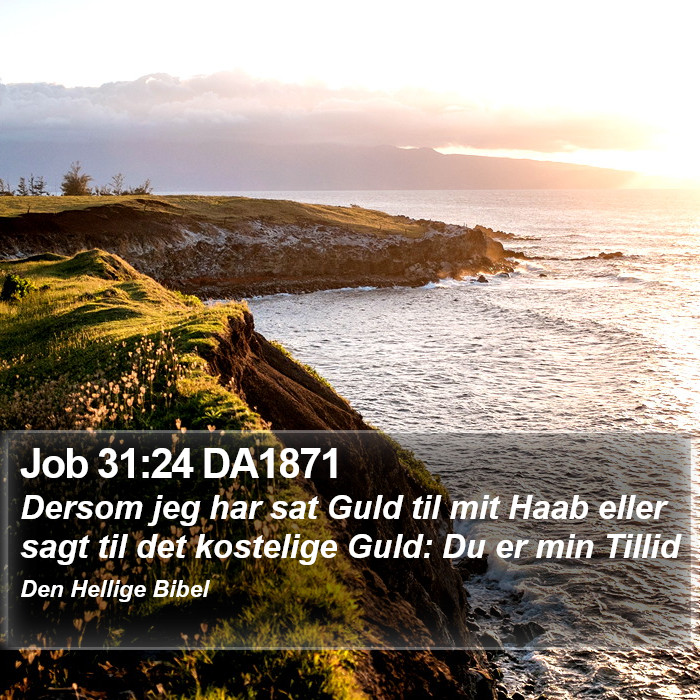 Job 31:24 DA1871 Bible Study