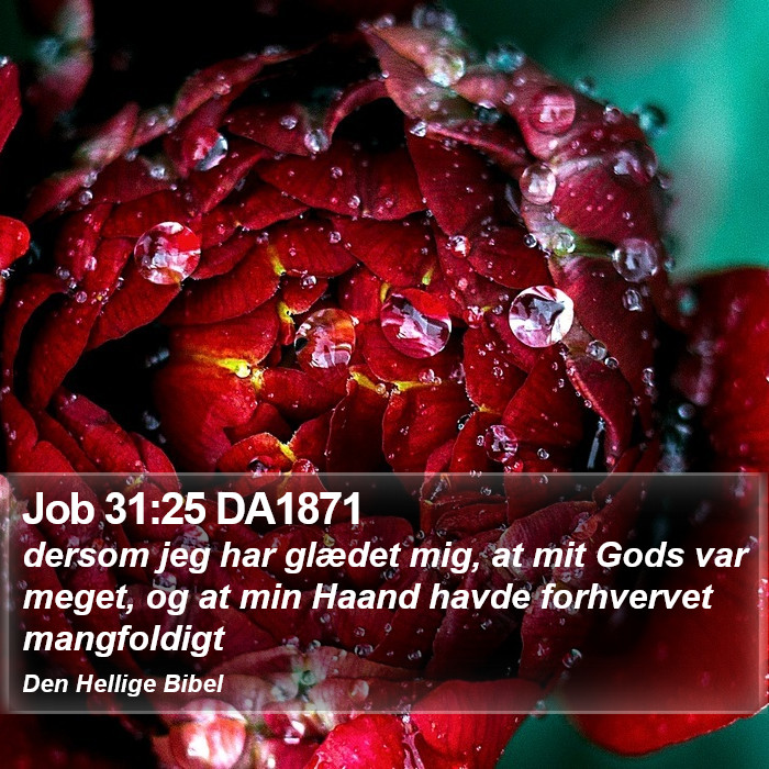 Job 31:25 DA1871 Bible Study