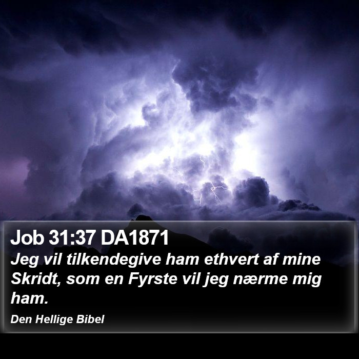 Job 31:37 DA1871 Bible Study