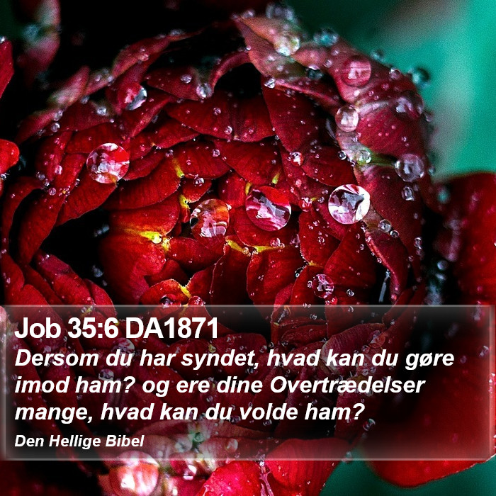 Job 35:6 DA1871 Bible Study