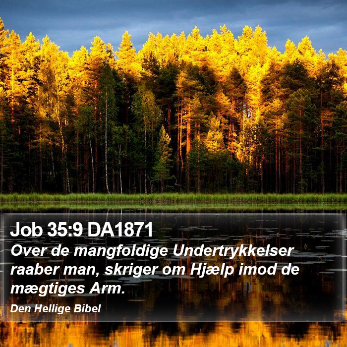 Job 35:9 DA1871 Bible Study