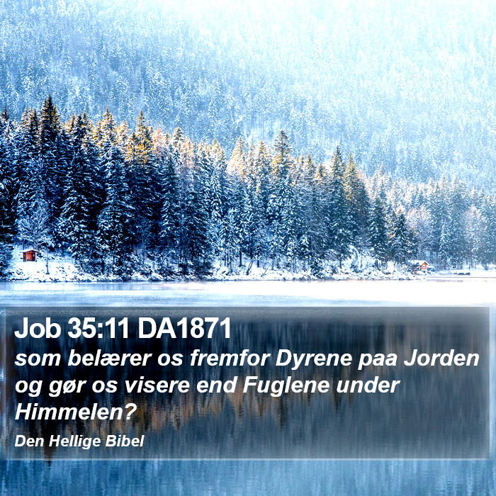 Job 35:11 DA1871 Bible Study