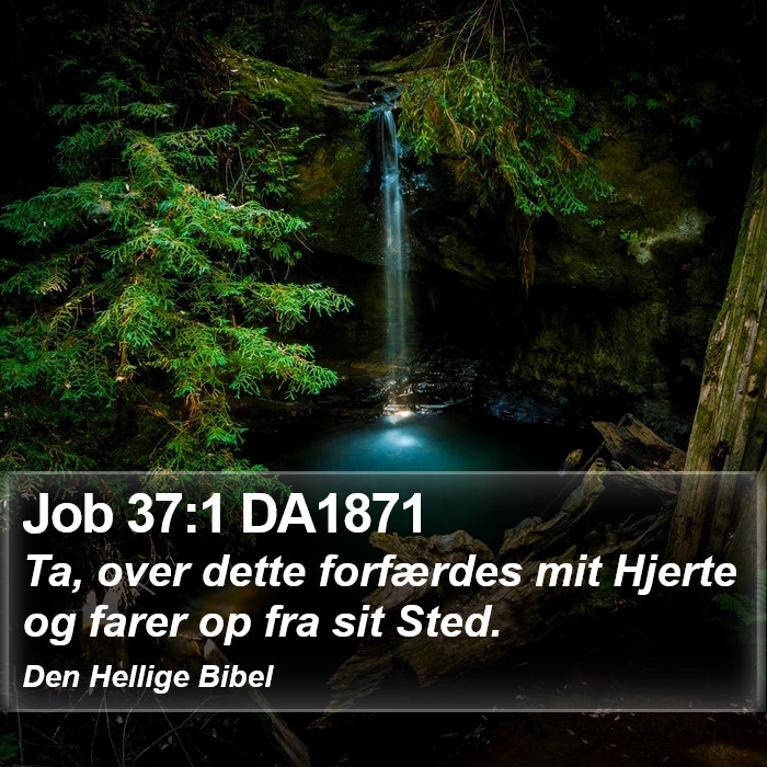 Job 37:1 DA1871 Bible Study