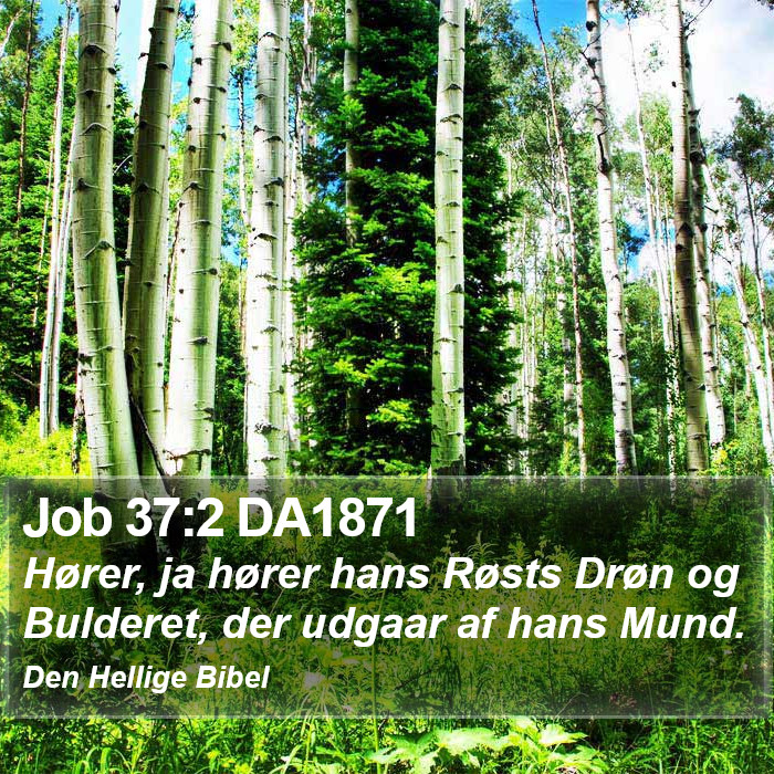 Job 37:2 DA1871 Bible Study