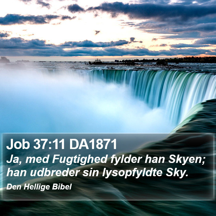 Job 37:11 DA1871 Bible Study