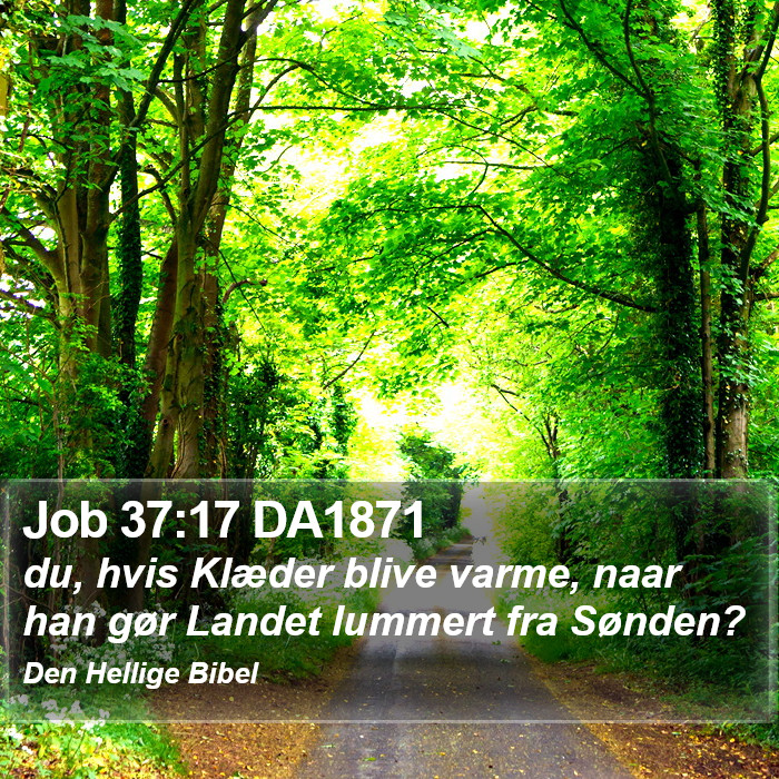 Job 37:17 DA1871 Bible Study