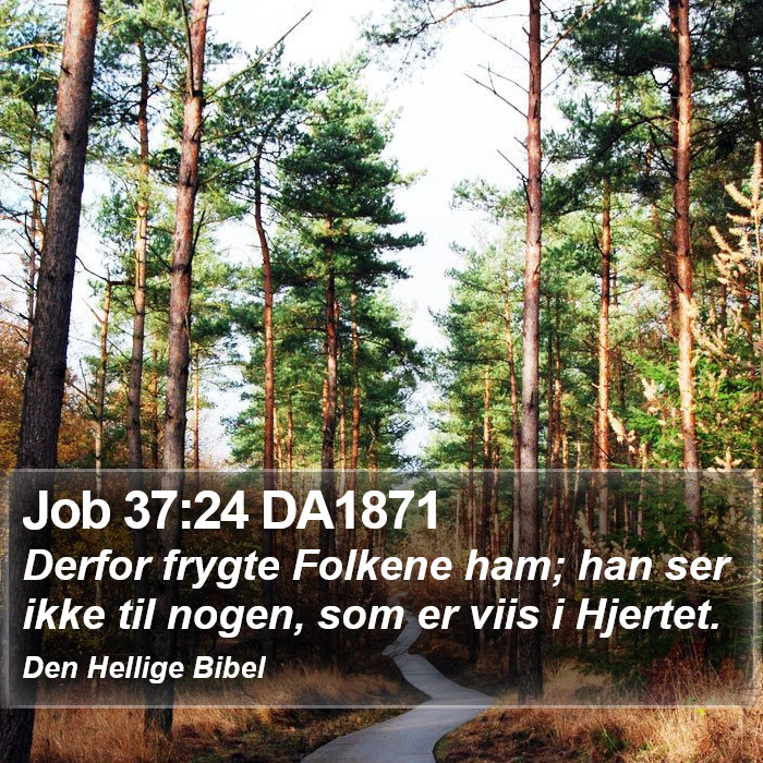 Job 37:24 DA1871 Bible Study