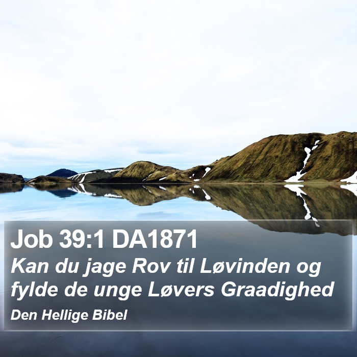 Job 39:1 DA1871 Bible Study