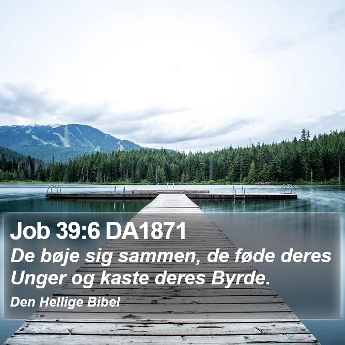 Job 39:6 DA1871 Bible Study