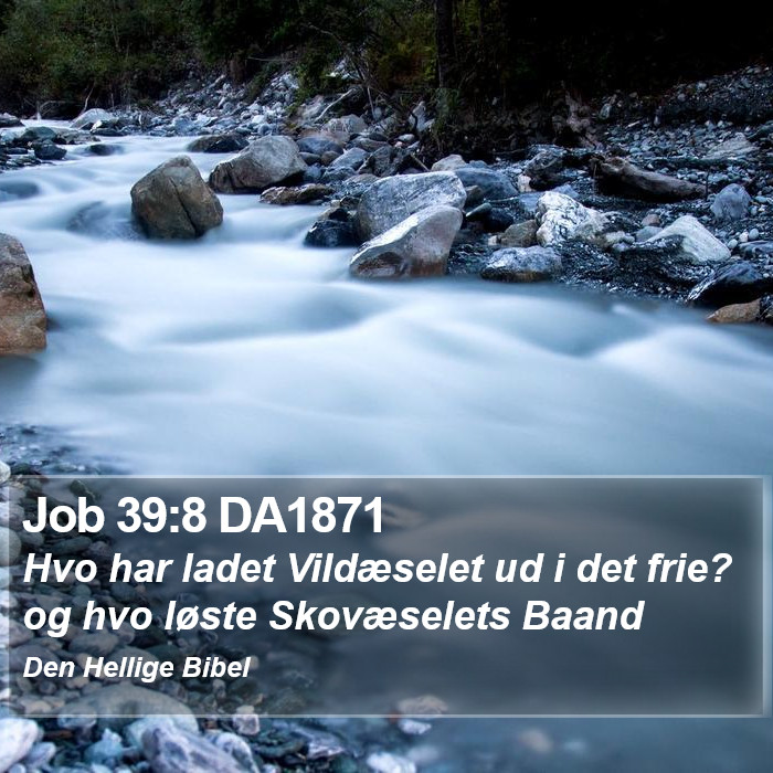 Job 39:8 DA1871 Bible Study