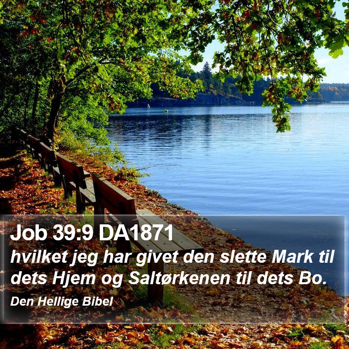 Job 39:9 DA1871 Bible Study