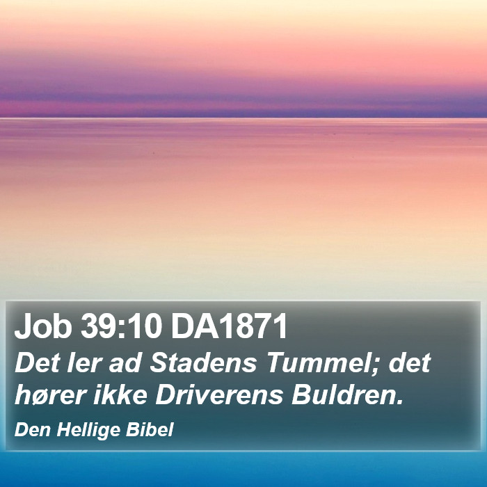 Job 39:10 DA1871 Bible Study