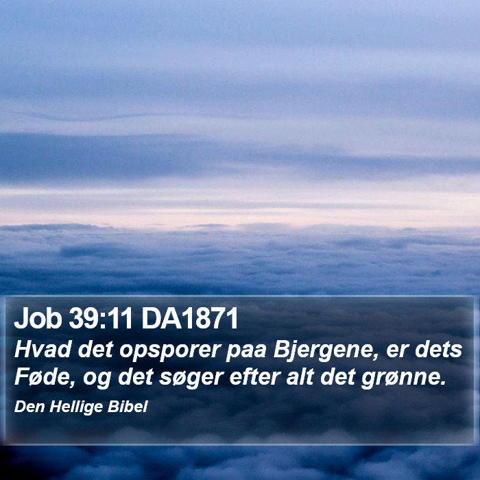 Job 39:11 DA1871 Bible Study