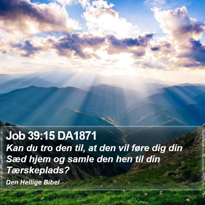 Job 39:15 DA1871 Bible Study