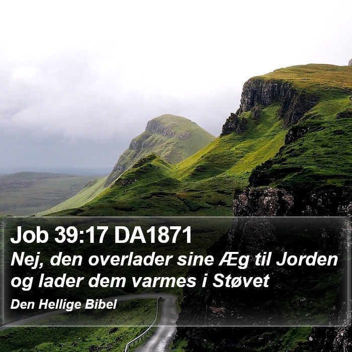 Job 39:17 DA1871 Bible Study