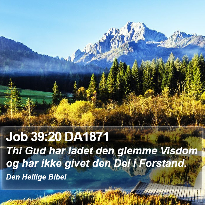 Job 39:20 DA1871 Bible Study